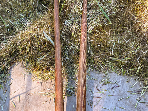 A pair of wooden poles laying on a batch of wild rice